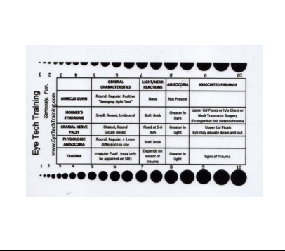 JOURNAL STANDARD - pupil Pupil Gauge with Pupil Characteristics — Eye Tech Training